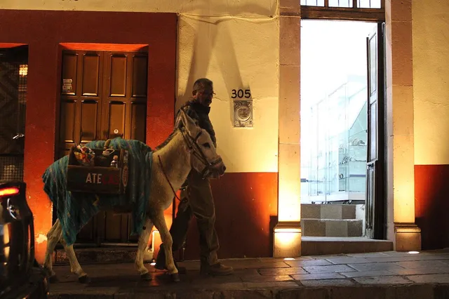 Callejoneadas con tambora